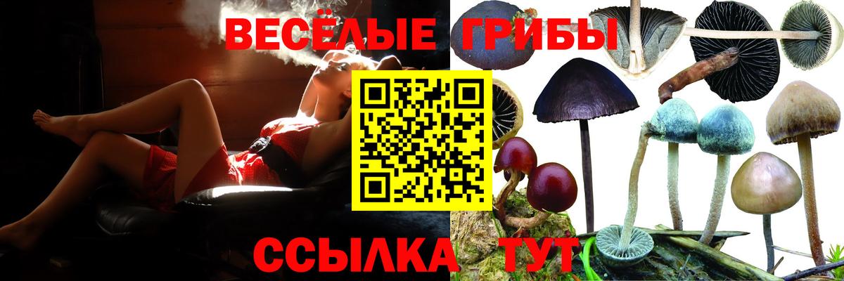 Копейск  где можно купить   Вход с VPN  Псилоцибиновые грибы Cubensis 